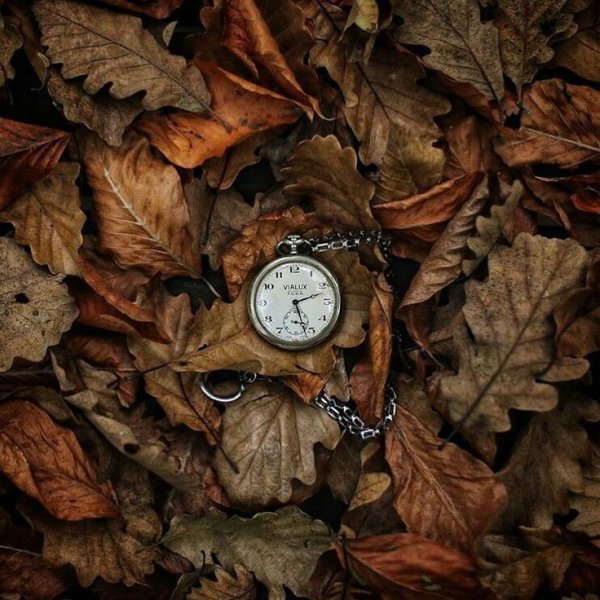 Осень часики