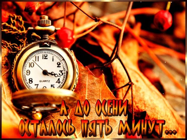 Без пяти минут осень