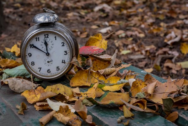 Часы зима меняет осень