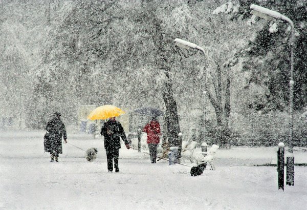 Природные явления снегопад