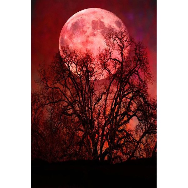 Кровавая Луна 2022