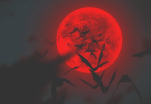 Hellsing Кровавая Луна