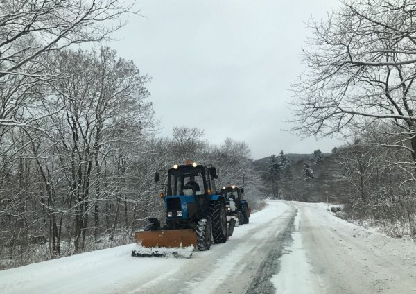Правительство Приморского края в СЕКГУ