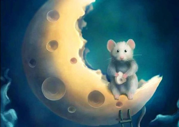 Мышь на Луне