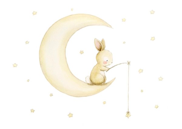 Иллюстратор Аида Замора