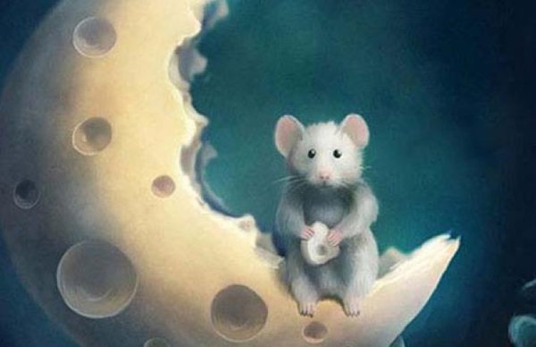 Мышь на Луне
