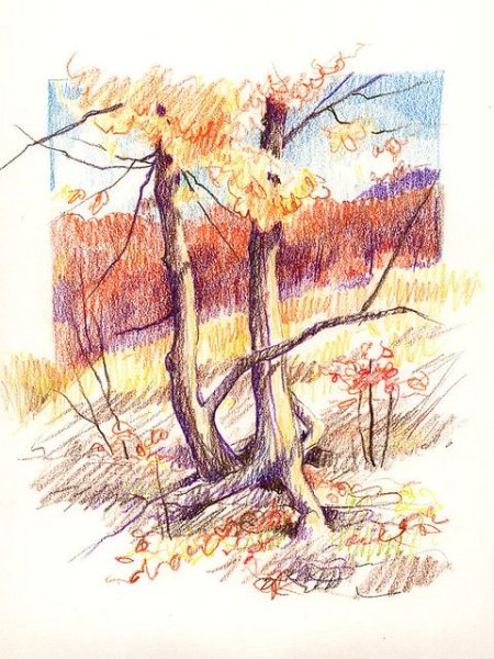 Осенний пейзаж цветными карандашами