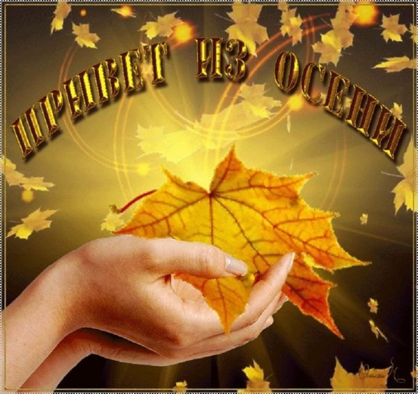 Осенний привет