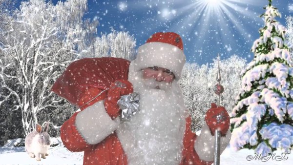 Дед Мороз в зимнем лесу