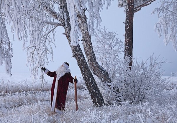 Мороз в лесу