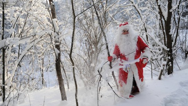 Дед Мороз в зимнем лесу