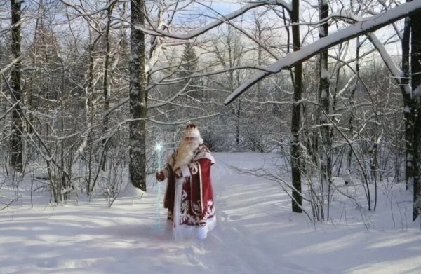 Дед Мороз в лесу