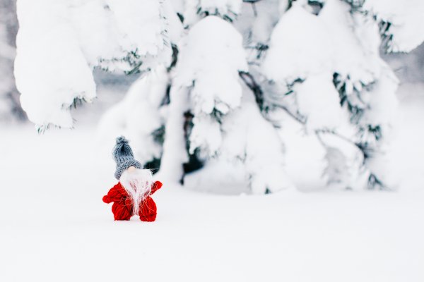 Дед Мороз и снегопад