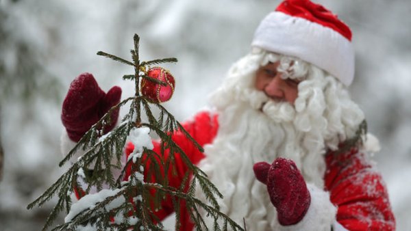 Дед Мороз в лесу