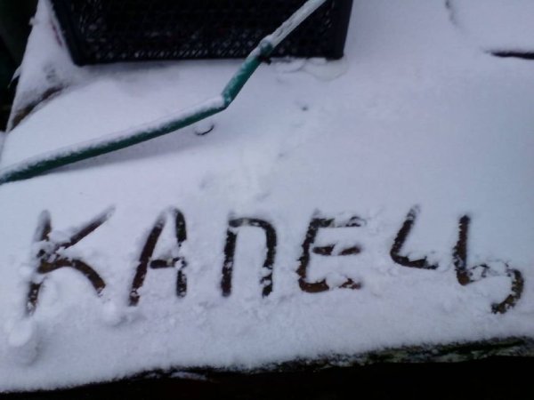 Зима вернулась