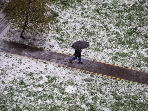 Снег в мае в Москве