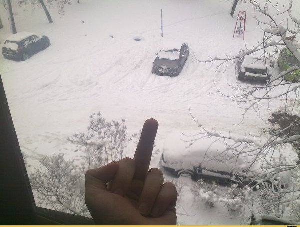 Выпал первый снег смешно