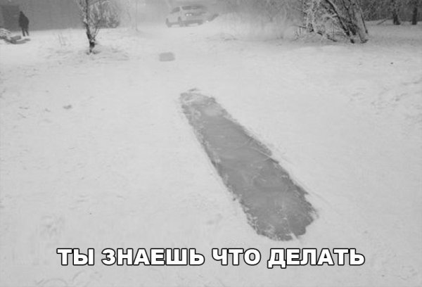 Неожиданно выпал снег