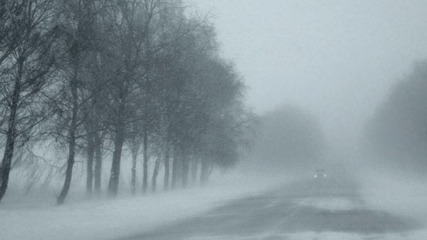 Туиммн на дороге зимой