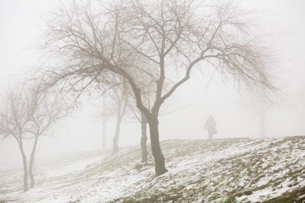 Ветер туман