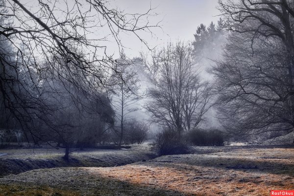 Поздняя осень туман