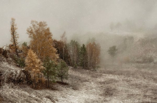 Живопись поздняя осень непогода