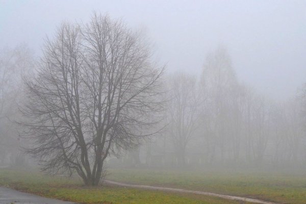 Сильный туман