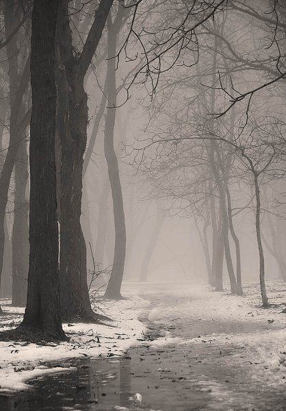 Туман в снегу