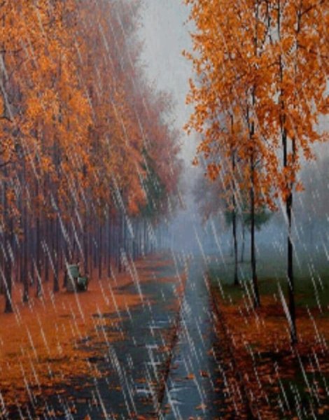 Дождливая осень пейзаж