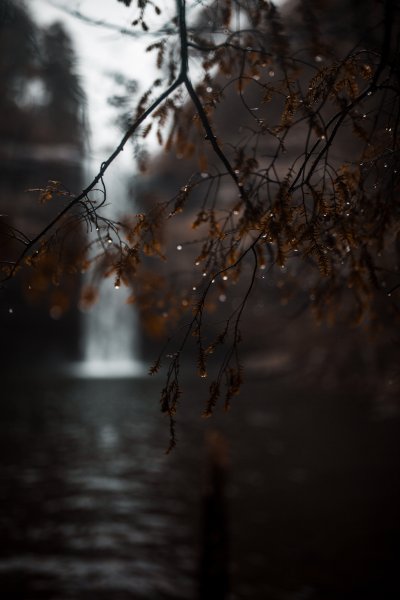 Осенний дождь в городе