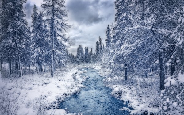 Зимний пейзаж