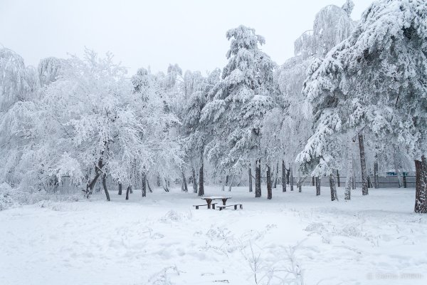Кумысная Поляна зимой