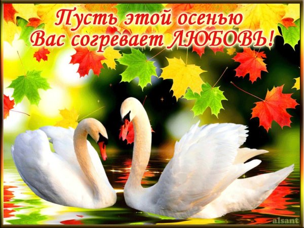 Осенние картинки с пожеланиями любви