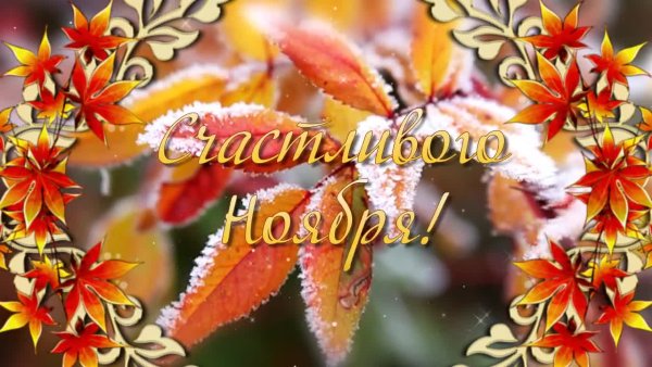 Поздравление с 1 ноября