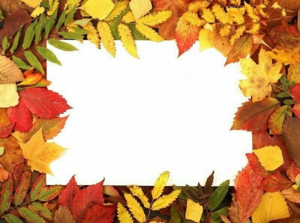 Здравствуй, ноябрь, последний месяц осени