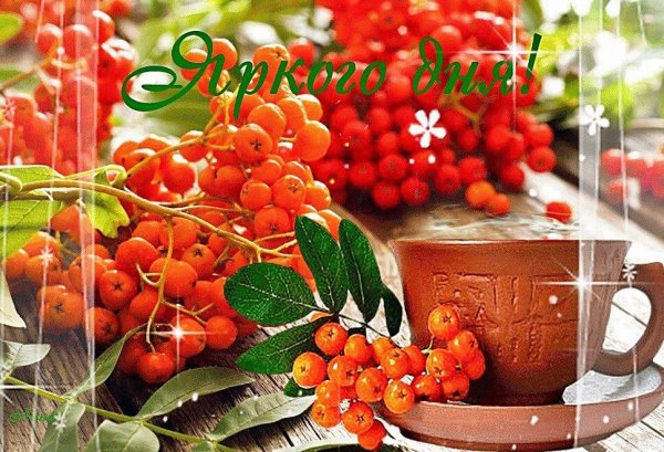 Доброго дня рябина