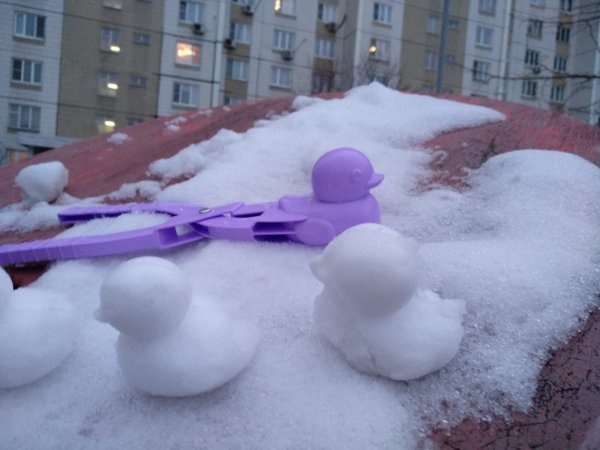 Уточки из снега
