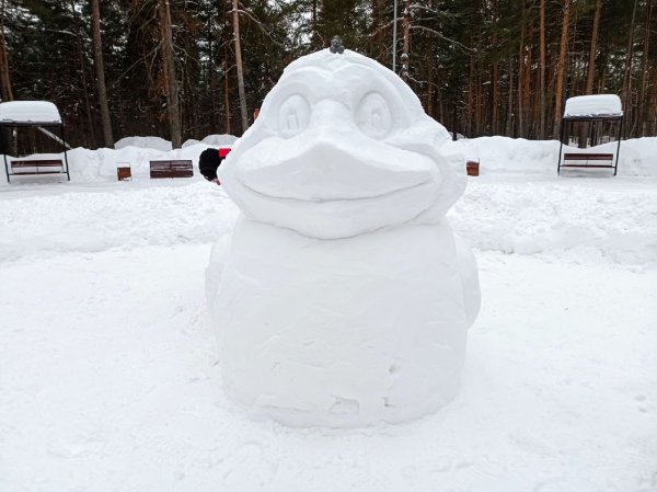 Утка из снега