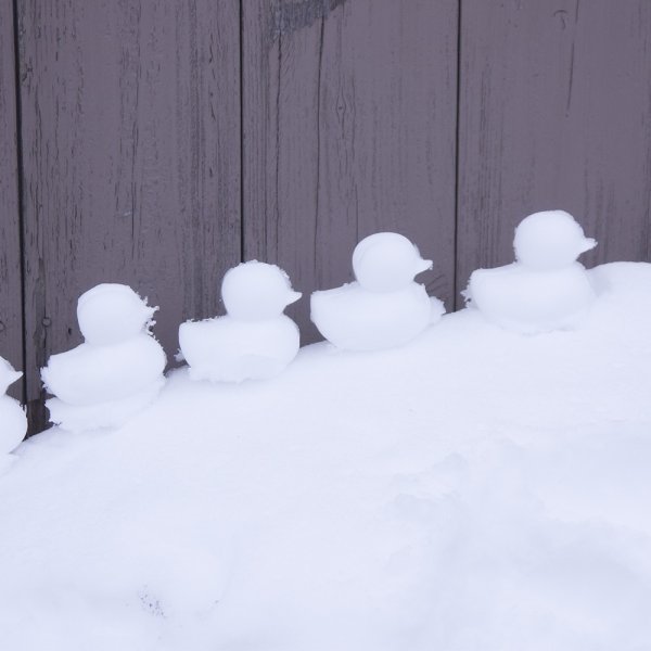 Снежная утка из снега