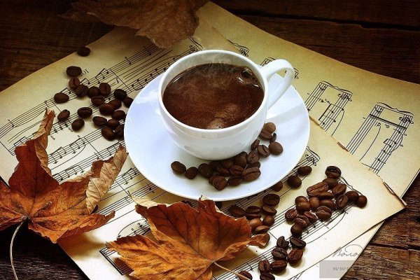 Листья кофе