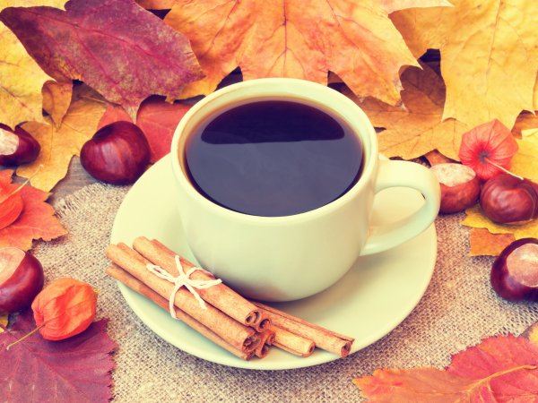 Уютная осень