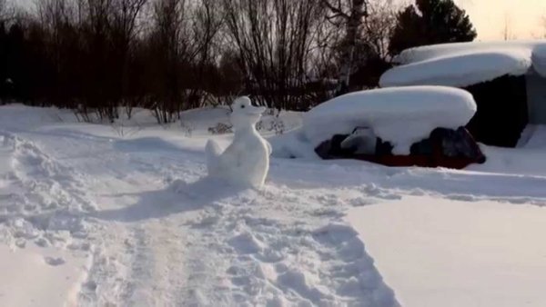 Утка из снега