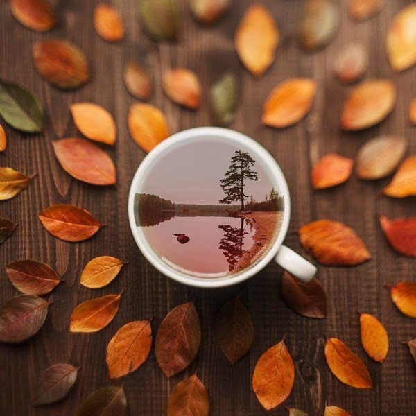Осень чай кофе