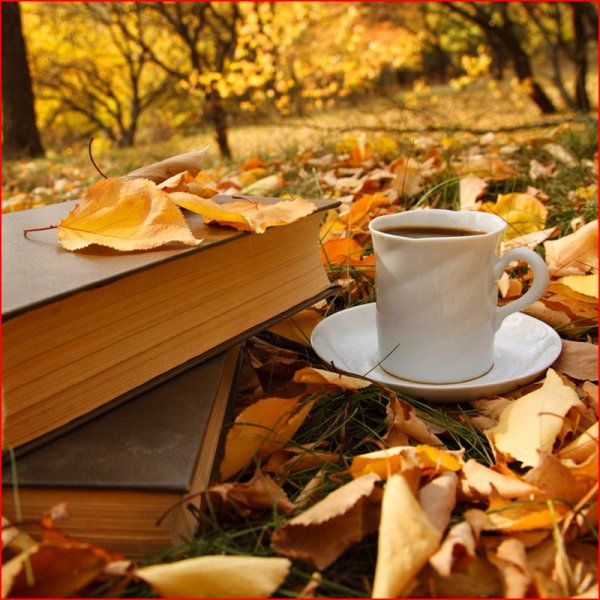 Кофе осенью на природе