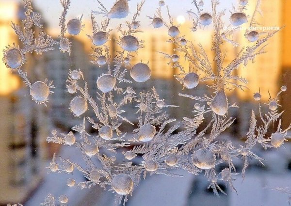 Снежные цветы на морозном окне