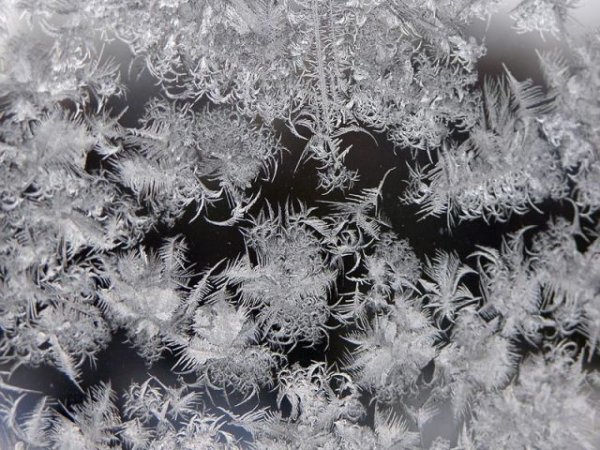 Морозные узоры на окне