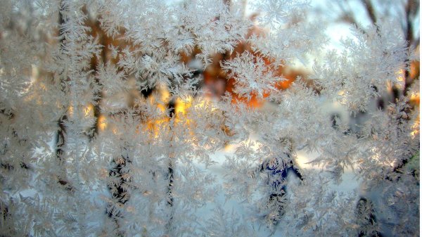 Морозные узоры на деревьях