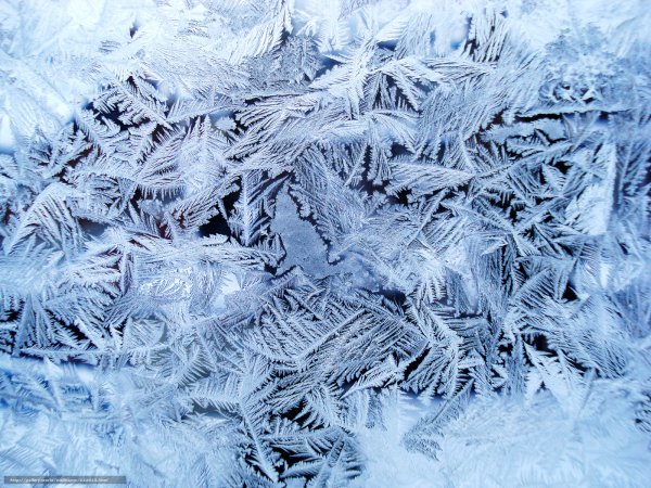 Морозный иней