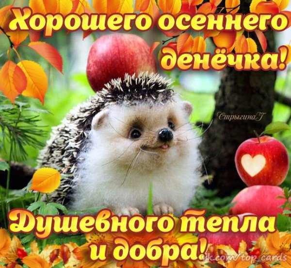 С воскресным днем осени