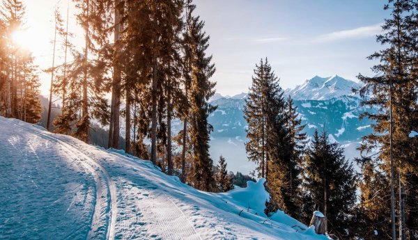 Зимний горный пейзаж